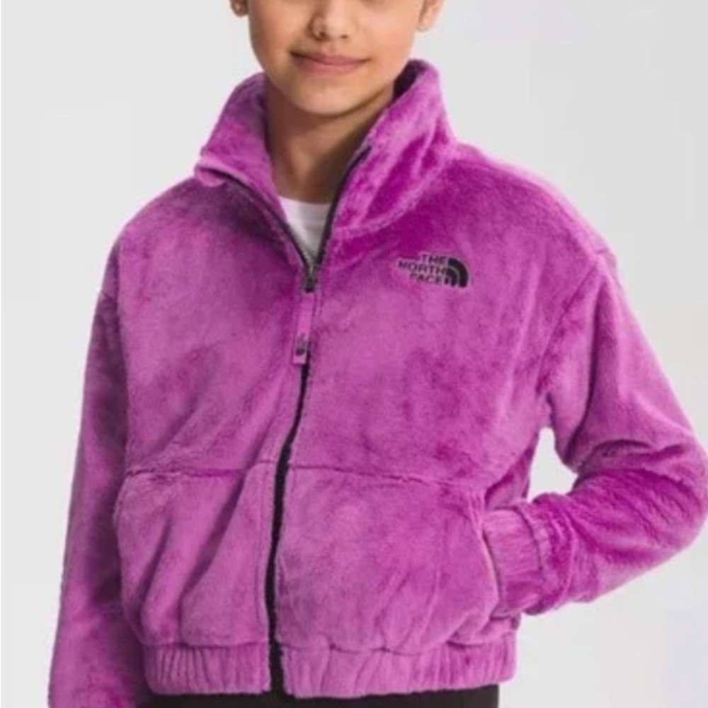 The North Face Vibrant Purple Fleece Jacket